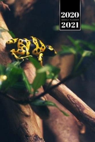 Frog Toad Week Planner Weekly Organizer Calendar 2020 / 2021 - Yellow on Tree Branch