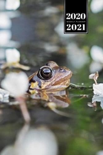 Frog Toad Week Planner Weekly Organizer Calendar 2020 / 2021 - White Flowers