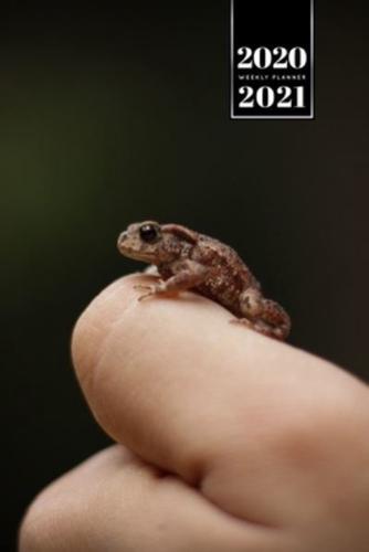 Frog Toad Week Planner Weekly Organizer Calendar 2020 / 2021 - Very Small