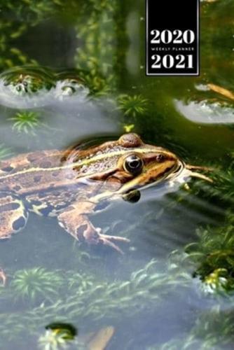 Frog Toad Week Planner Weekly Organizer Calendar 2020 / 2021 - Aquatic Plants