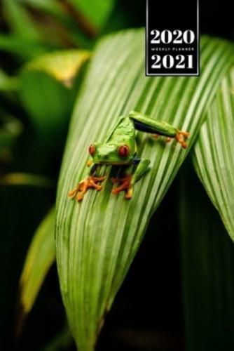 Frog Toad Week Planner Weekly Organizer Calendar 2020 / 2021 - Ready to Jump