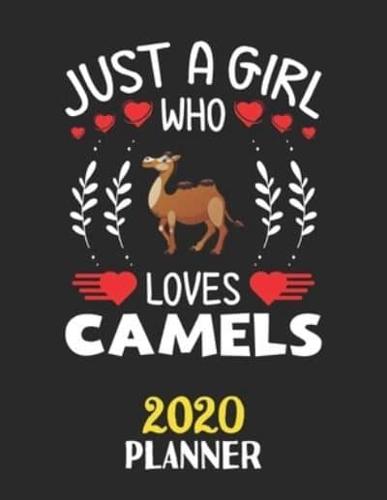 Just A Girl Who Loves Camels 2020 Planner