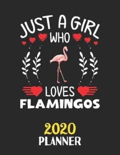 Just A Girl Who Loves Flamingos 2020 Planner