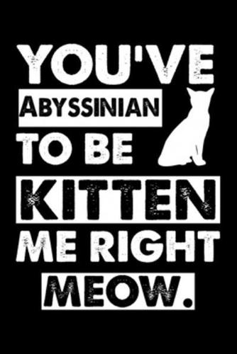 You've Abyssinian To Be Kitten Me Right Meow