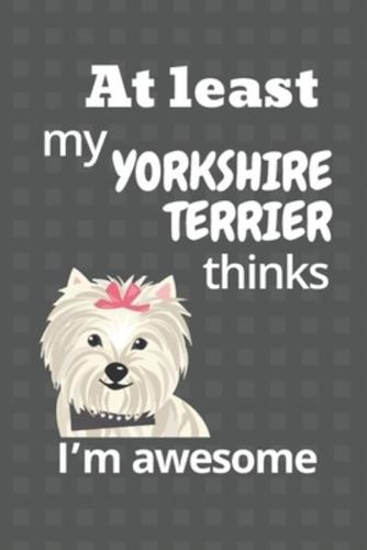 At Least My Yorkshire Terrier Thinks I'm Awesome