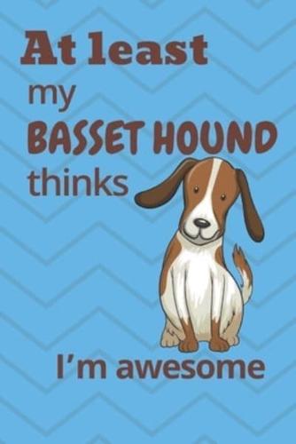 At Least My Basset Hound Thinks I'm Awesome