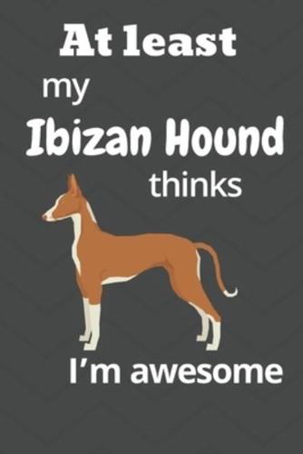 At Least My Ibizan Hound Thinks I'm Awesome