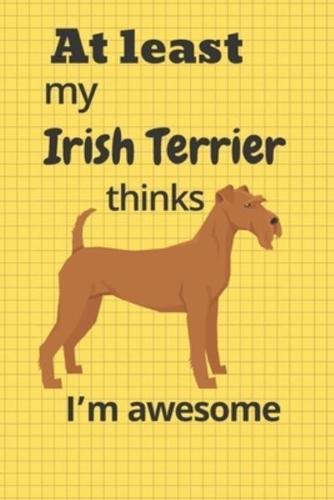 At Least My Irish Terrier Thinks I'm Awesome