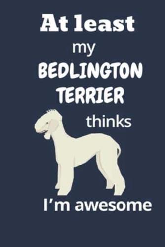 At Least My Bedlington Terrier Thinks I'm Awesome