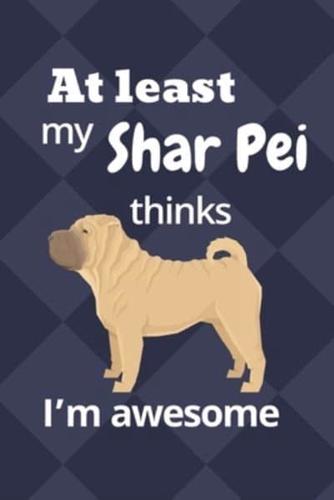 At Least My Shar Pei Thinks I'm Awesome