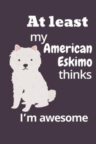 At Least My American Eskimo Thinks I'm Awesome