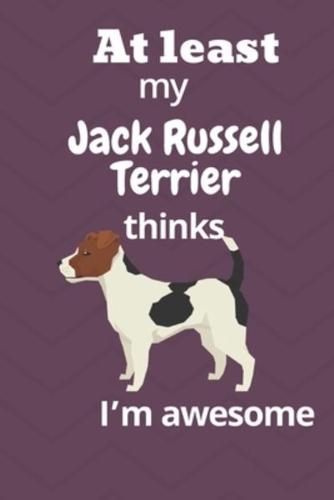 At Least My Jack Russell Terrier Thinks I'm Awesome