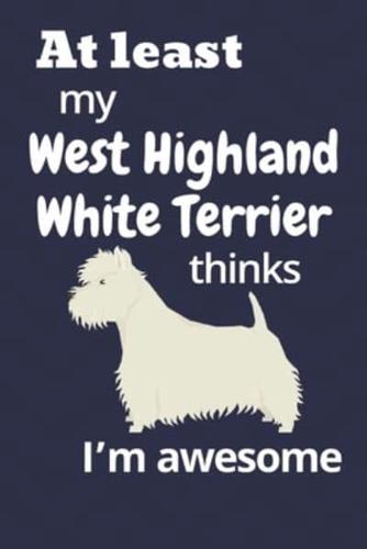 At Least My West Highland White Terrier Thinks I'm Awesome