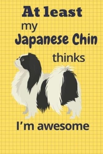 At Least My Japanese Chin Thinks I'm Awesome
