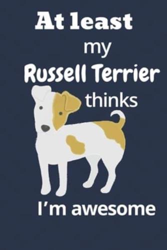 At Least My Russell Terrier Thinks I'm Awesome