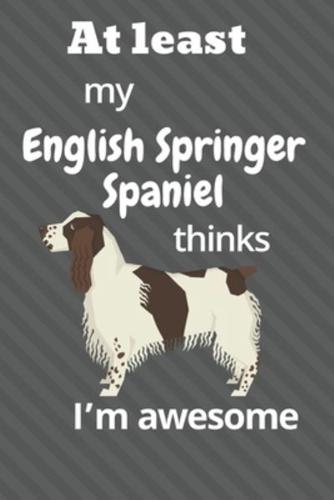 At Least My English Springer Spaniel Thinks I'm Awesome