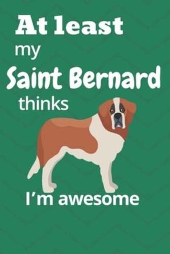 At Least My Saint Bernard Thinks I'm Awesome