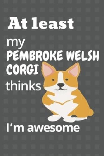 At Least My Pembroke Welsh Corgi Thinks I'm Awesome