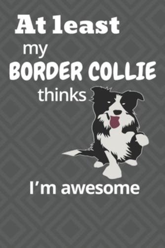 At Least My Border Collie Thinks I'm Awesome