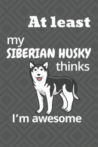 At Least My Siberian Husky Thinks I'm Awesome
