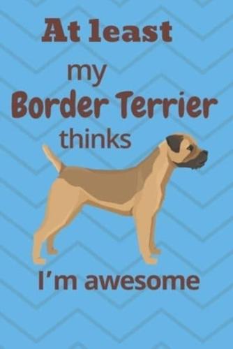 At Least My Border Terrier Thinks I'm Awesome