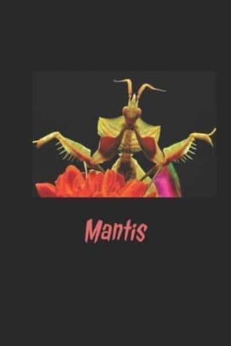 Preying Mantis Journal / Diary