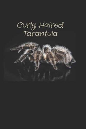 Curly Haired Tarantula Notedbook