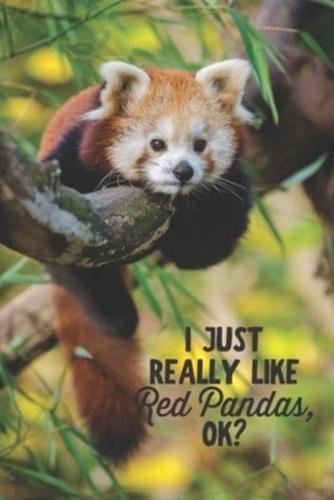 I Just Really Like Red Pandas, OK?