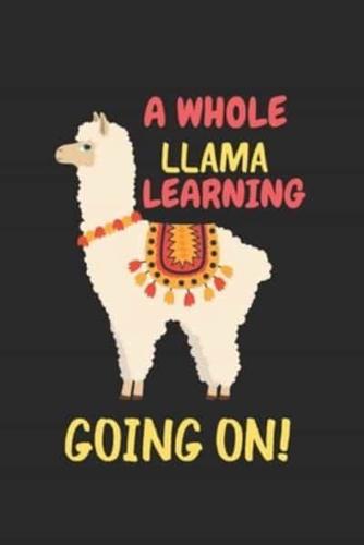 A Whole Llama Learning Going On