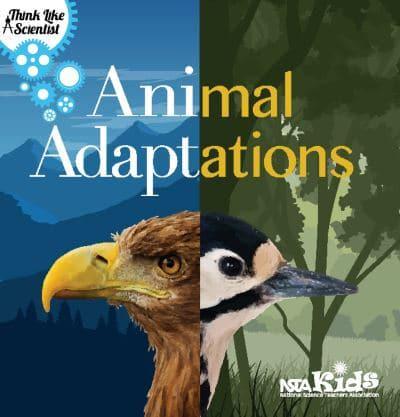 Animal Adaptations