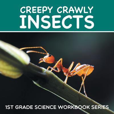 Creepy Crawly Insects : 1st Grade Science Workbook Series