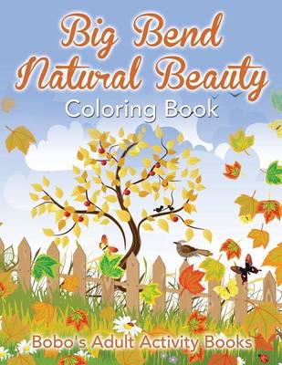 Big Bend Natural Beauty Coloring Book