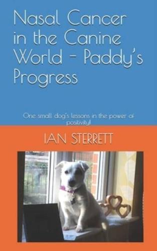 Nasal Cancer in the Canine World - Paddy's Progress