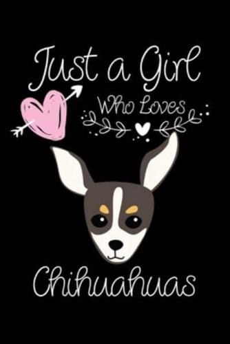 Just a Girl Who Loves Chihuahuas