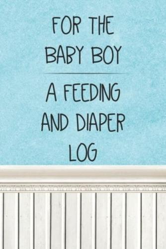 For the Baby Boy a Feeding and Diaper Log