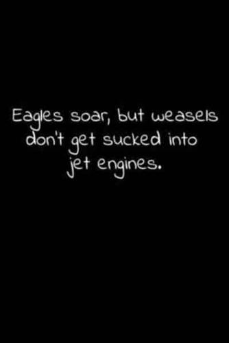 Eagles Soar, but Weasels Don't Get Sucked Into Jet Engines.