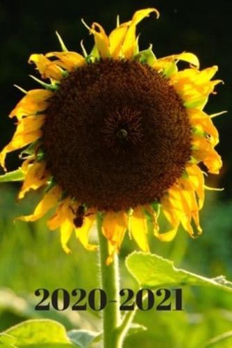 Yellow Sunflower Country Rustic 25 Month Weekly Planner Dated Calendar for Women & Men