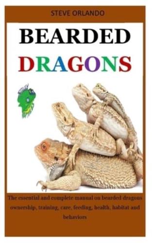 Bearded Dragons