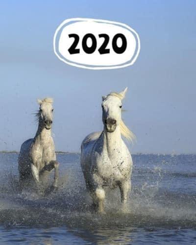 2020