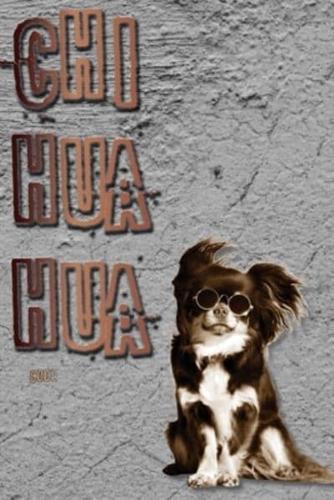 Cool Chihuahua