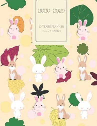 2020-2029 10 Ten Year Planner Monthly Calendar Rabbit Bunny Goals Agenda Schedule Organizer