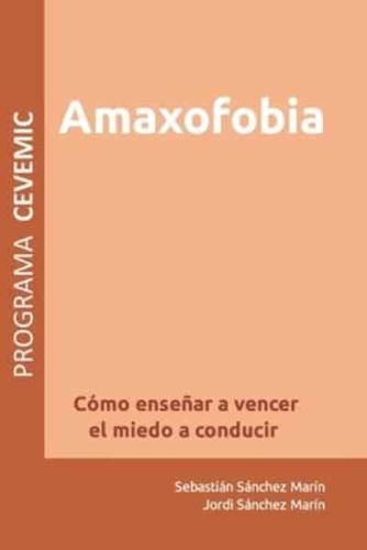 Amaxofobia