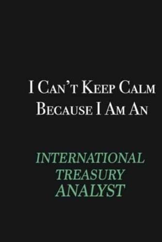 I Cant Keep Calm Because I Am an International Treasury Analyst