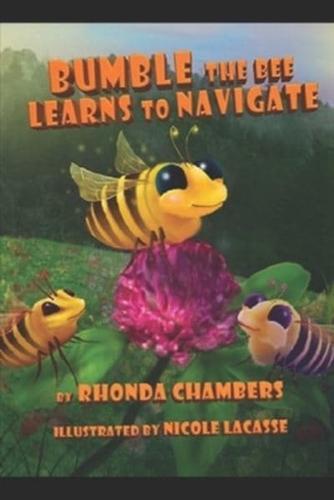 Bumble The Bee Learns To Navigate