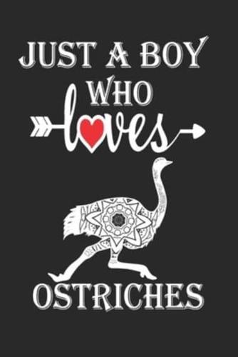 Just a Boy Who Loves Ostriches