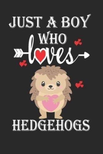 Just a Boy Who Loves Hedgehogs