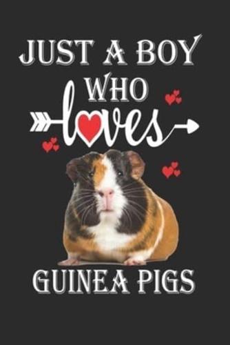 Just a Boy Who Loves Guinea Pigs