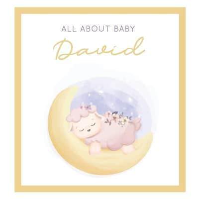 All About Baby David