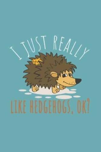 I Just Really Like Hedgehogs, Ok?