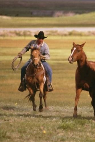 2020 Weekly Planner Horse Photo Equine Cowboy Herding Ranch 134 Pages